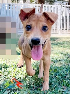 11409188008 金生 (1)