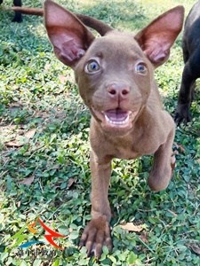 11409298008 金生 (3)