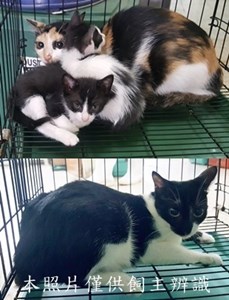 11411110015-18收-vert