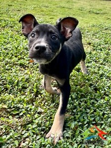 11409198024 東南 (2)