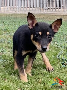 11410070014 東南 (2)