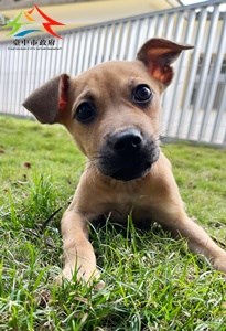 11410136002 東南 (4)