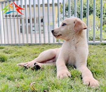 11410140007 東南 (4)