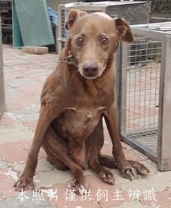 11411190014-1收-F (2)