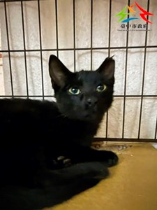 xecvhwi58ZVk6WJ_DYXxBA