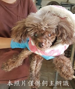 11411240002收-B幼44