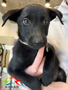 11411116003 永信 (3)