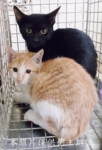 11411270010-11收-15