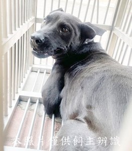 11411280010收C美安C