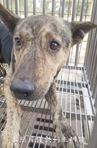 11411280014收-元16