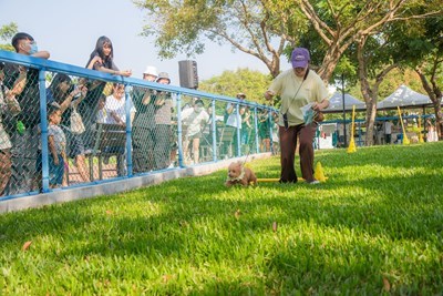 An environmental theater took you inside an animal shelter – 66 Bazaar – Sweet Home made a lively debut on October 18!-00