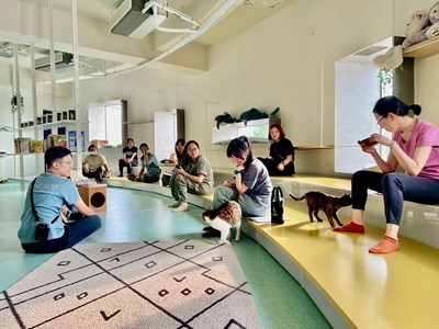 Healing & Awareness Workshop for Social Workers-00