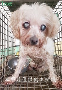 11412040013收-幼27