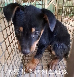 11412060015收-幼28