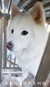 11412060018收-F37-1