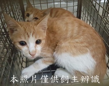 11412120013-14收-14