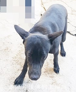 11412180018收-元25