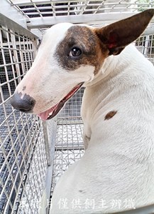 11412190025收-F36-4