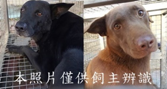 11412230001-2收-tile