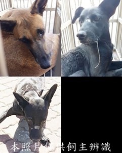 11412230005-7收-tile