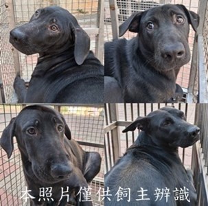 11412310005-8收-tile