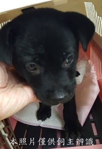 11412310010收-F31-2