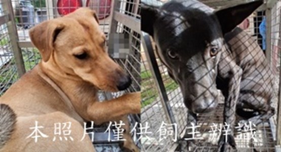 11412310019-20收-tile