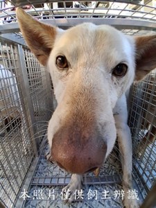 11412310021收-F41-3