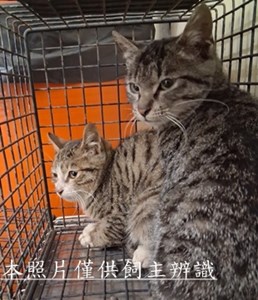 11501090011-12收-50