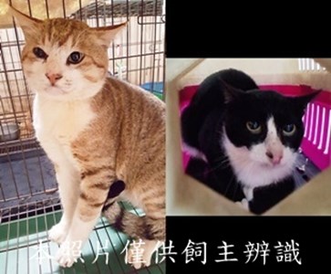 11501120004-5收-tile