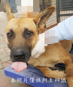 11501120017收-元18