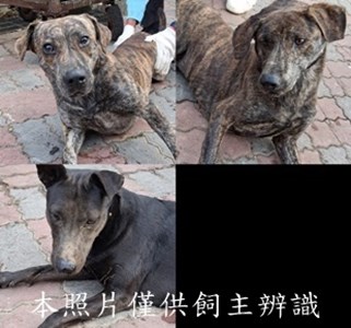 11501130001-3收-tile