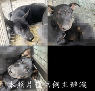 11501130008-10收-tile