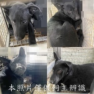 11501130011-14收-tile