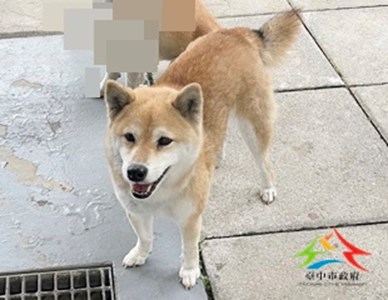 11412270015收棄 LULU