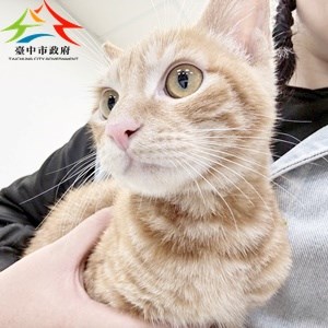 11412290018吉美(3)