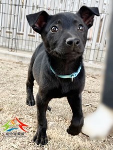 11412178005 吉美 (2)