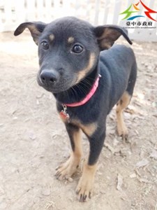 11412300006 吉美 (3)