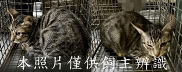 11501200001-2收-tile