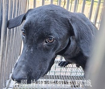 11501200015收-元19