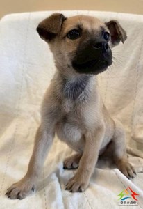 11412240014開 慈愛