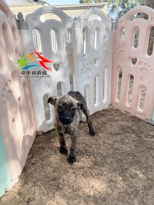 11412280008仁愛 (2)