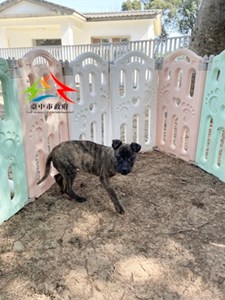 11412098016仁愛 (1)