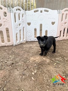 11501128011 吉美 (1)