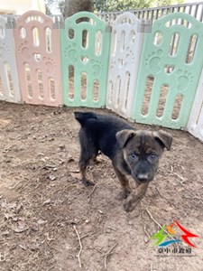 11501128009 吉美 (2)