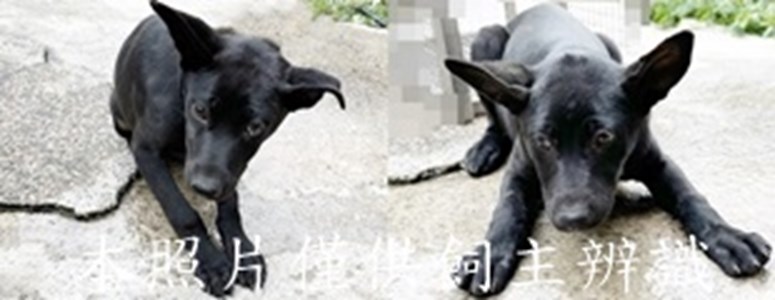 11502060016-17收-tile