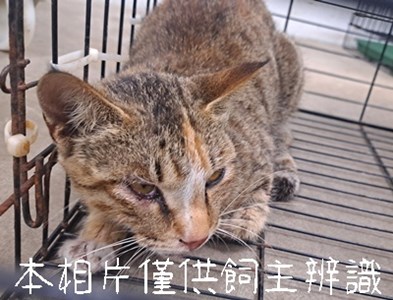 11502086001急難_4-16