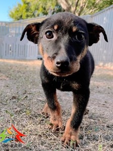 11412270008 欣欣 (3)