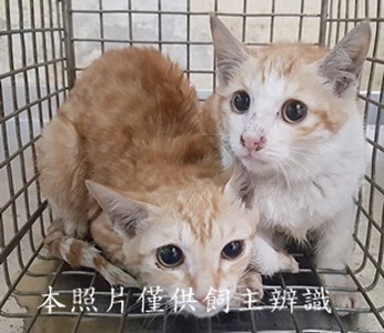 11502110009-10收-79