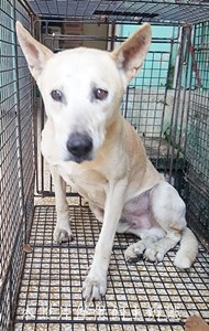 11502120004收-元15